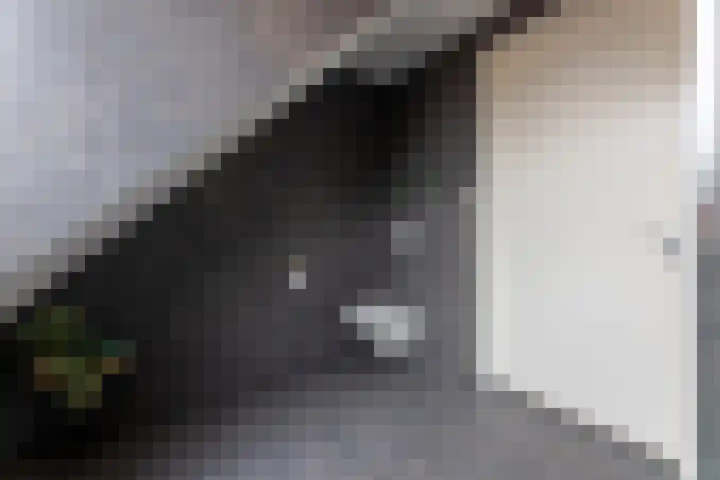 Matthias Wolffstraat 3 Hoogerheide thumbnail 37