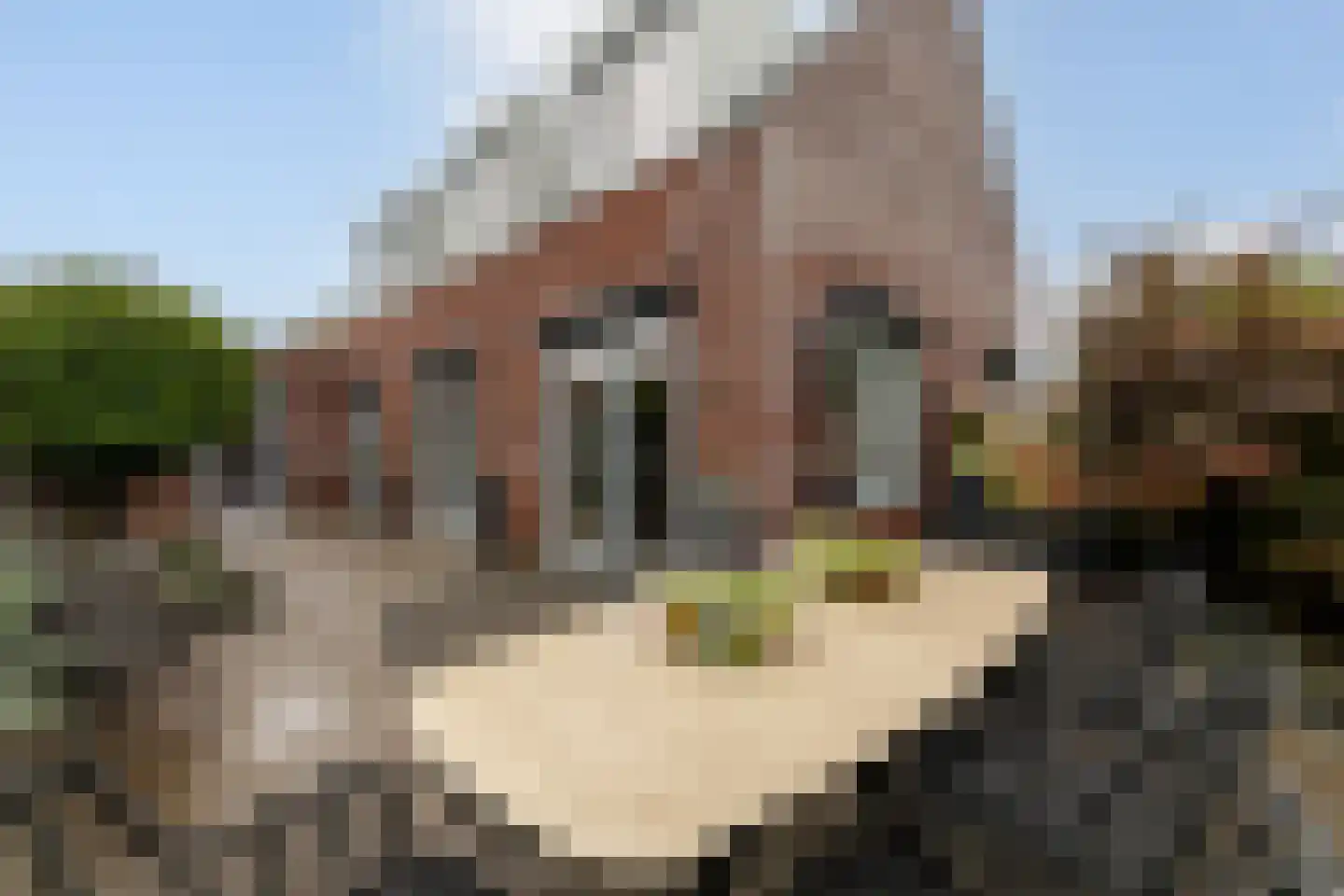 Matthias Wolffstraat 3 Hoogerheide thumbnail 4