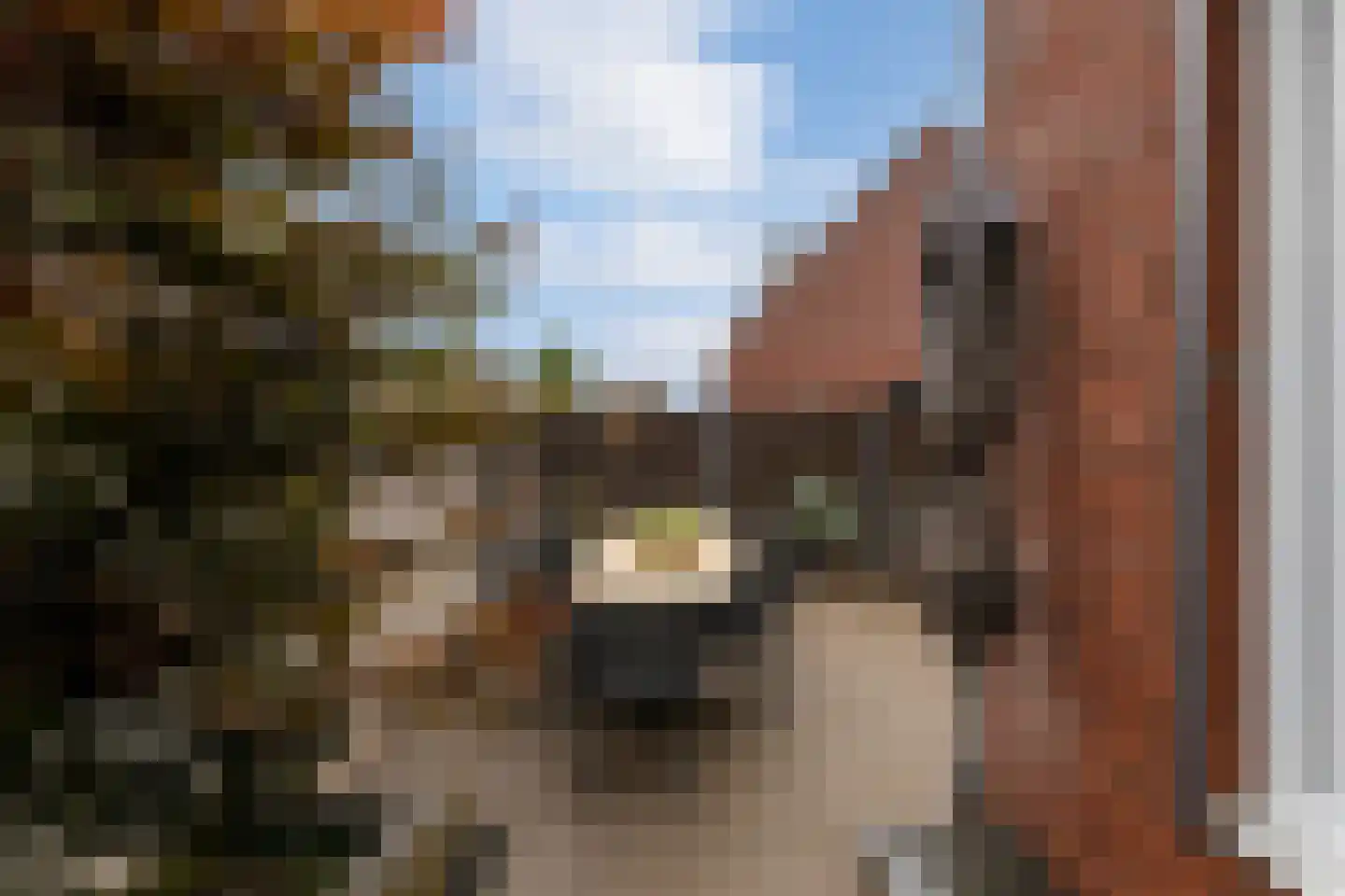 Matthias Wolffstraat 3 Hoogerheide thumbnail 47