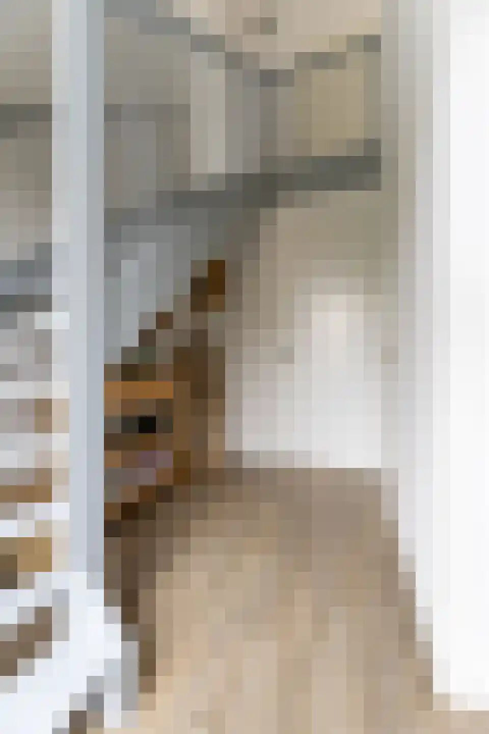 Matthias Wolffstraat 3 Hoogerheide thumbnail 7