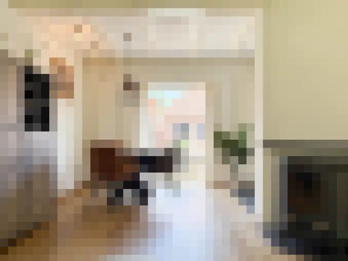 Matthieu Wiegmanweg 6 Bergen (NH) thumbnail 6