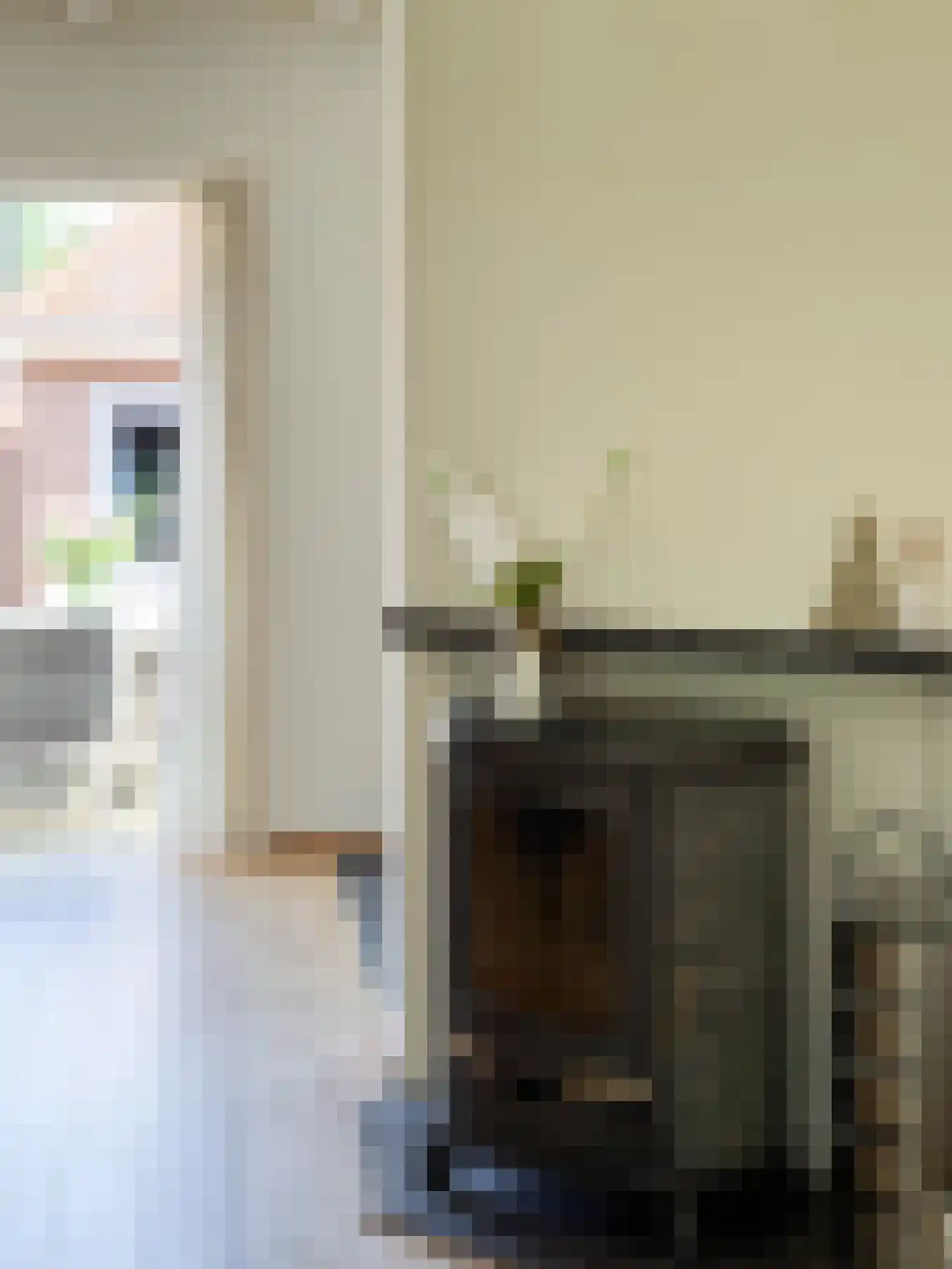 Matthieu Wiegmanweg 6 Bergen (NH) thumbnail 7