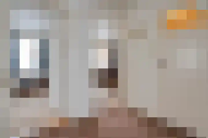 Matthijs Kiersstraat 14 Steenwijk thumbnail 17
