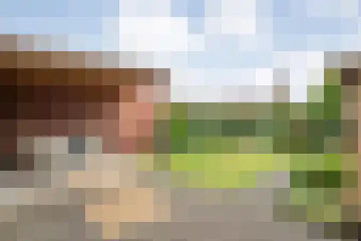 Matthijs Kiersstraat 14 Steenwijk thumbnail 32