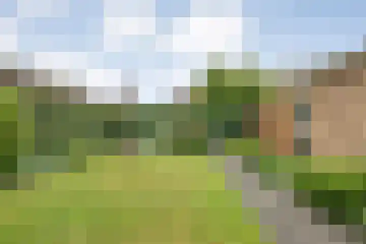 Matthijs Kiersstraat 14 Steenwijk thumbnail 34