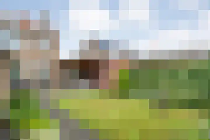 Matthijs Kiersstraat 14 Steenwijk thumbnail 35
