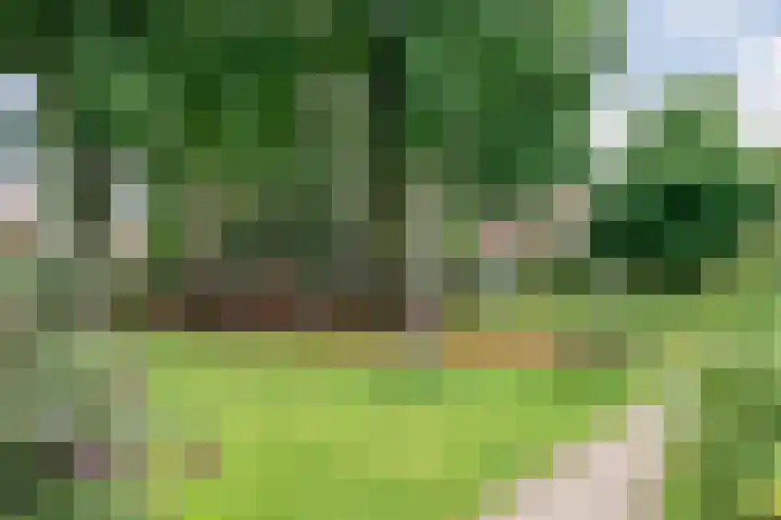Matthijs Kiersstraat 14 Steenwijk thumbnail 41