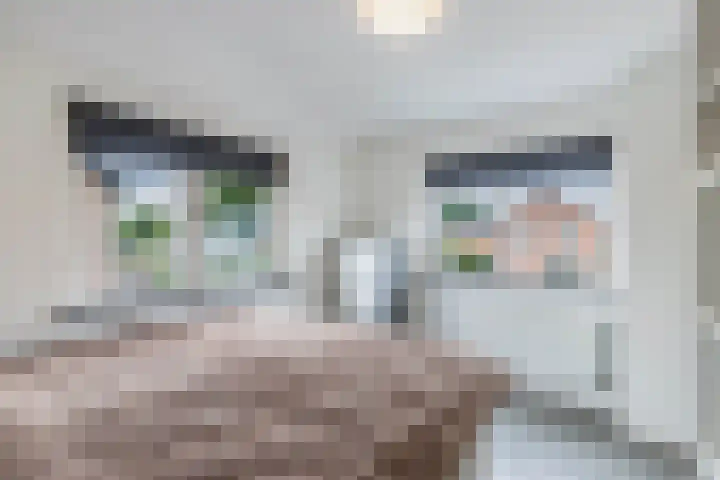 Matthijs Kiersstraat 35 Steenwijk thumbnail 21