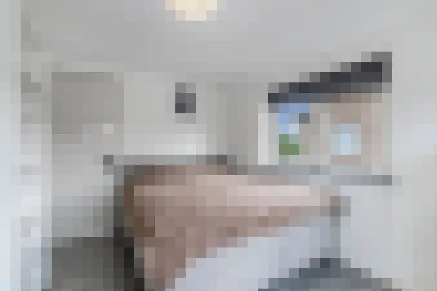 Matthijs Kiersstraat 35 Steenwijk thumbnail 22