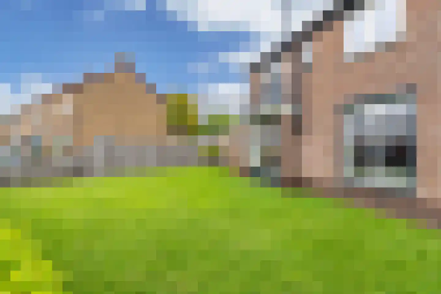Matthijs Kiersstraat 35 Steenwijk thumbnail 29