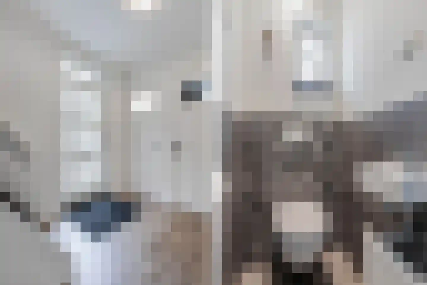Matthijs Kiersstraat 35 Steenwijk thumbnail 6