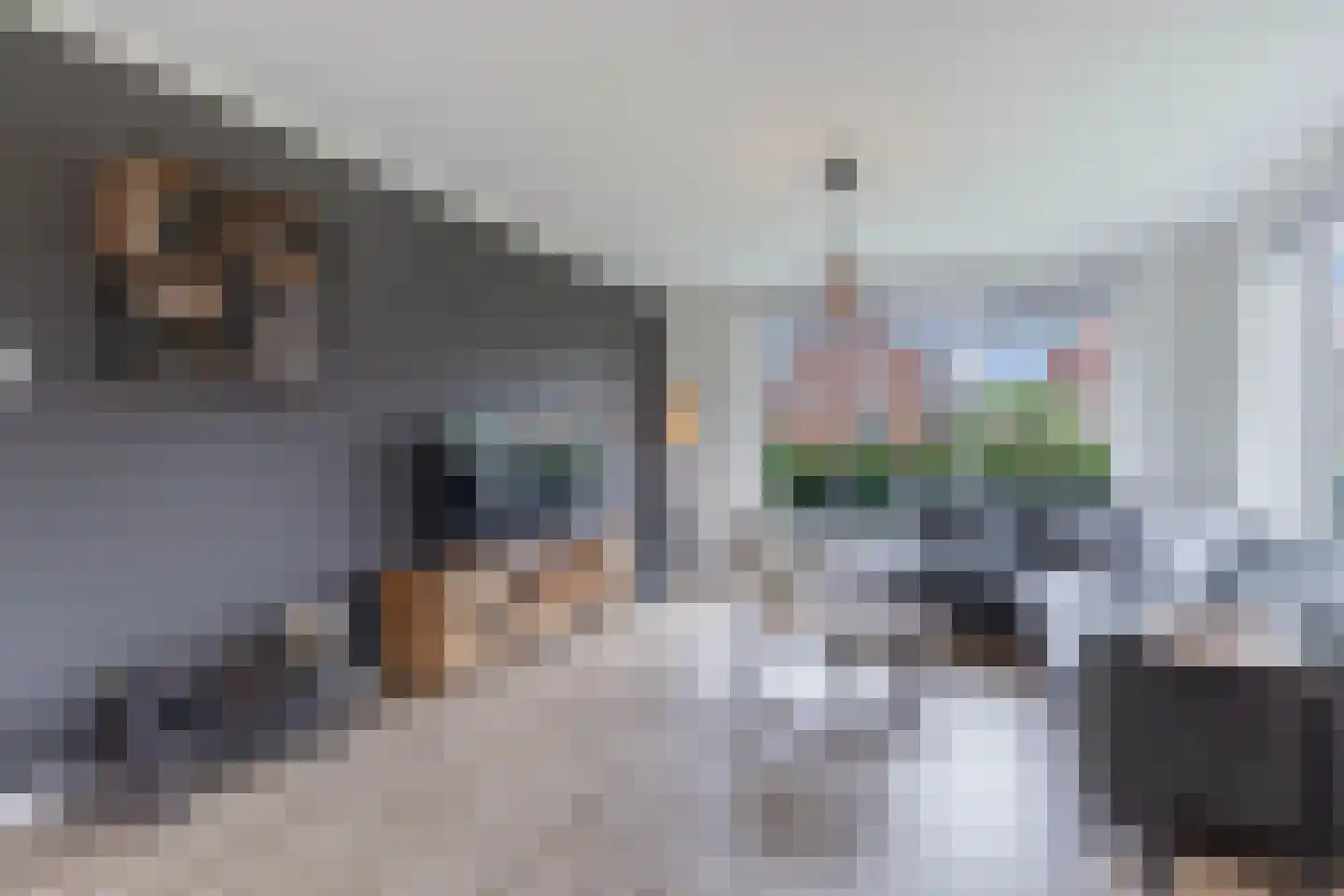 Matthijs Kiersstraat 35 Steenwijk thumbnail 7