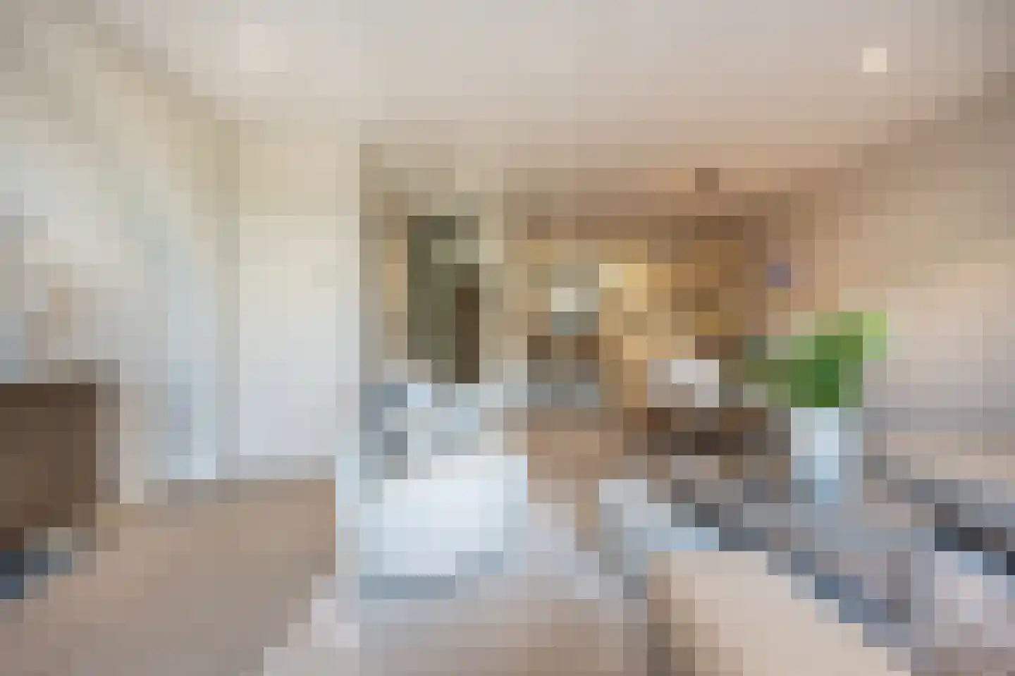 Matthijs Quispelhof 3 Oud-Beijerland thumbnail 15