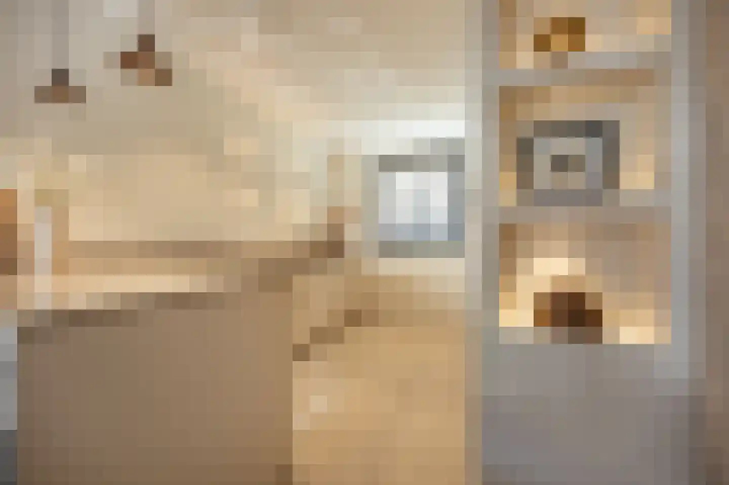Matthijs Quispelhof 3 Oud-Beijerland thumbnail 20