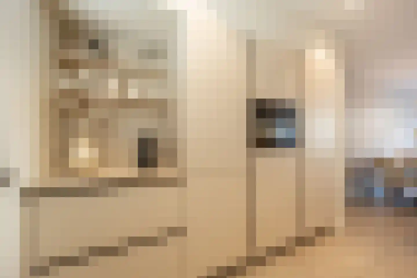 Matthijs Quispelhof 3 Oud-Beijerland thumbnail 23