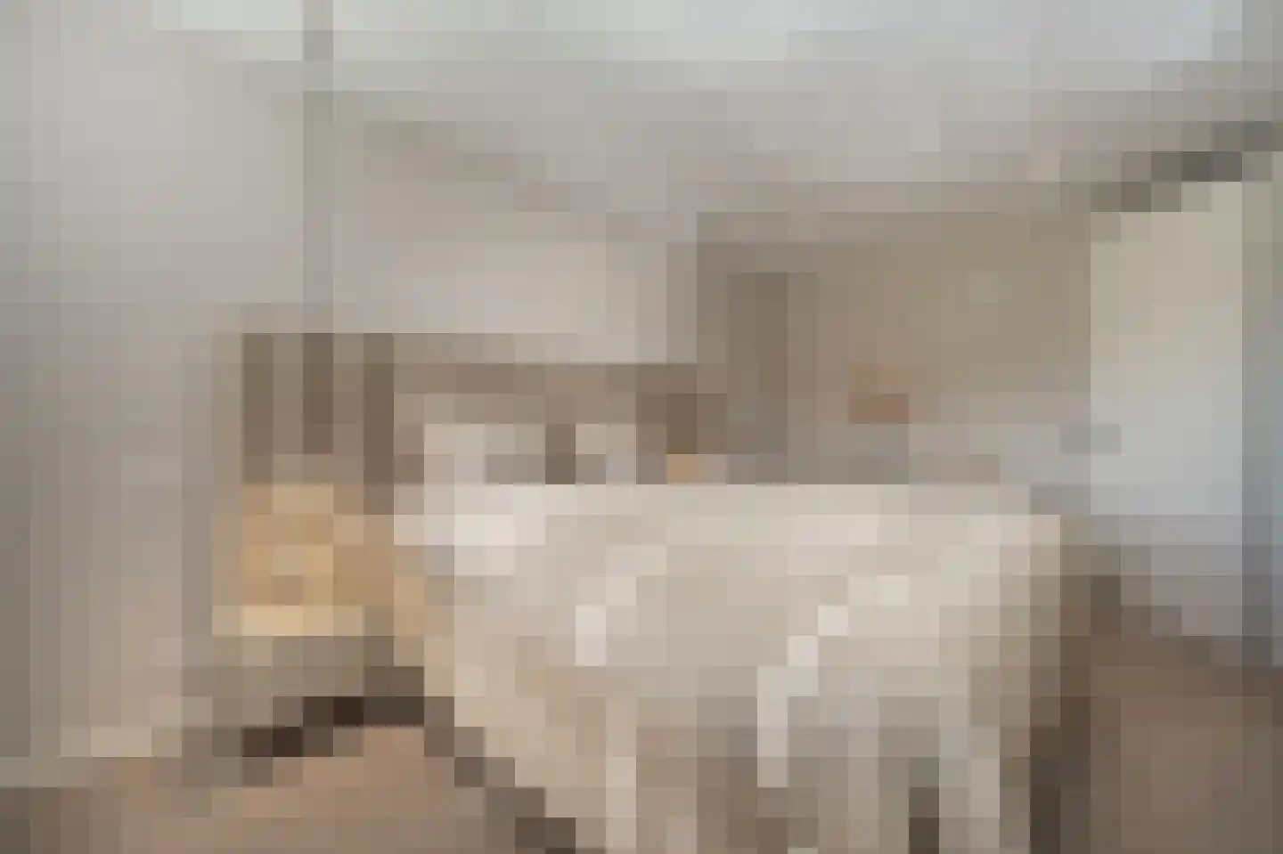 Matthijs Quispelhof 3 Oud-Beijerland thumbnail 30