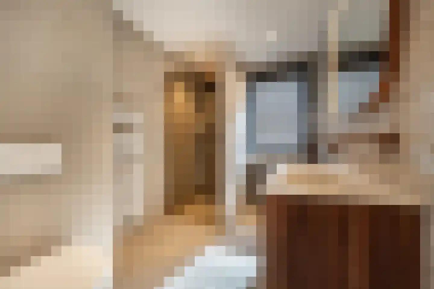 Matthijs Quispelhof 3 Oud-Beijerland thumbnail 31
