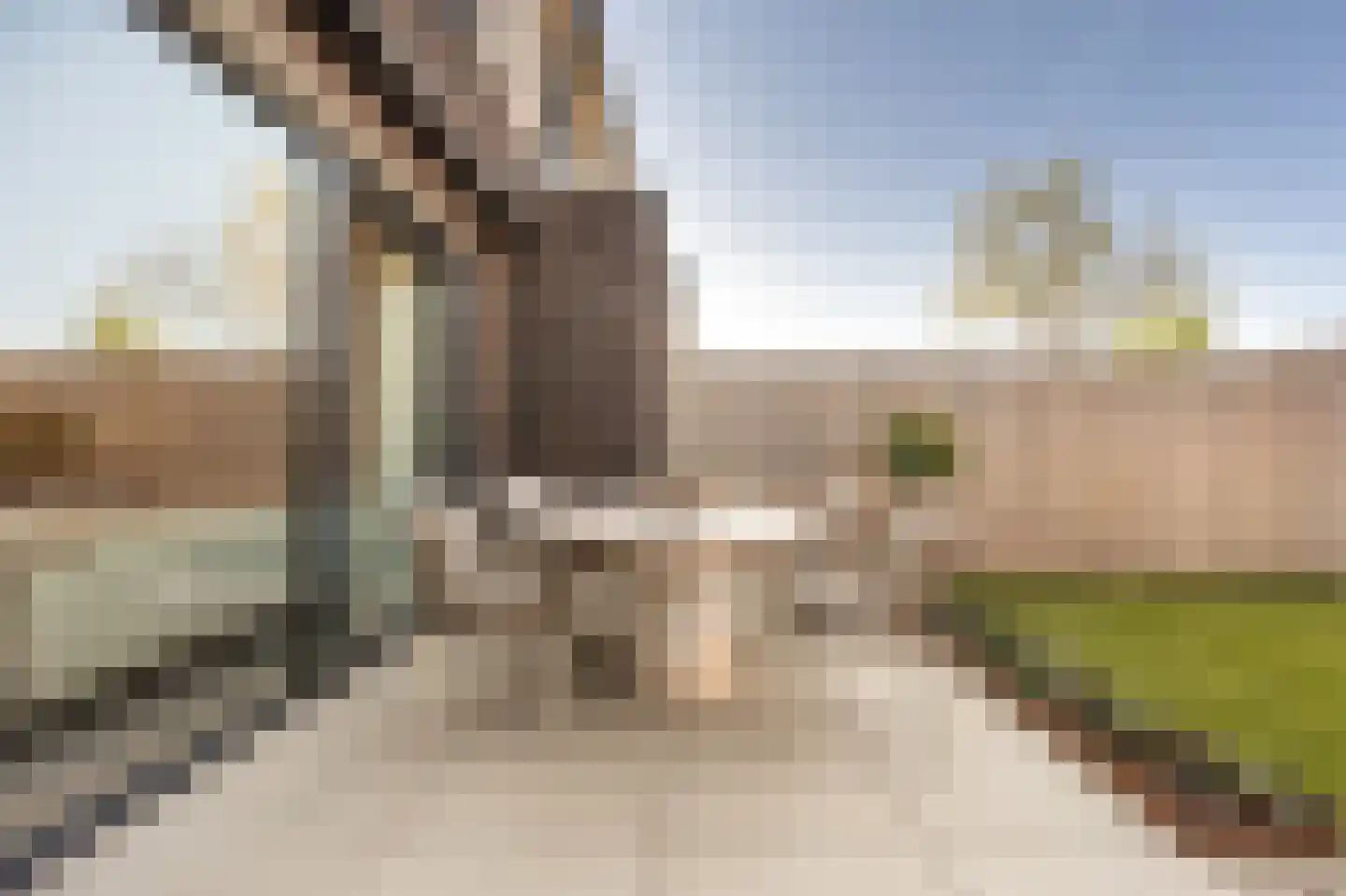 Matthijs Quispelhof 3 Oud-Beijerland thumbnail 47