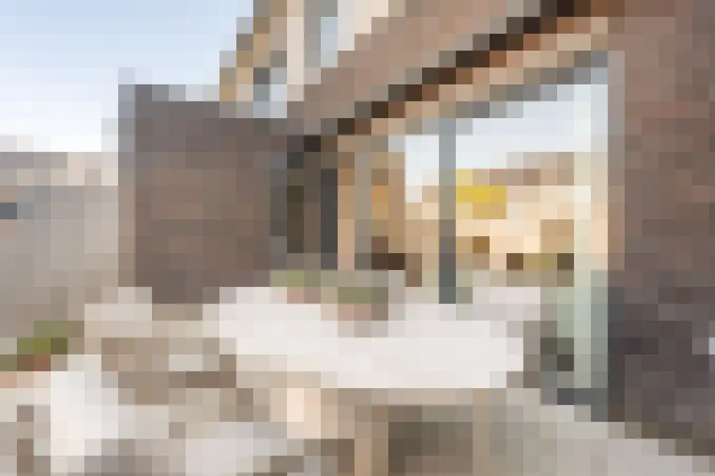 Matthijs Quispelhof 3 Oud-Beijerland thumbnail 48