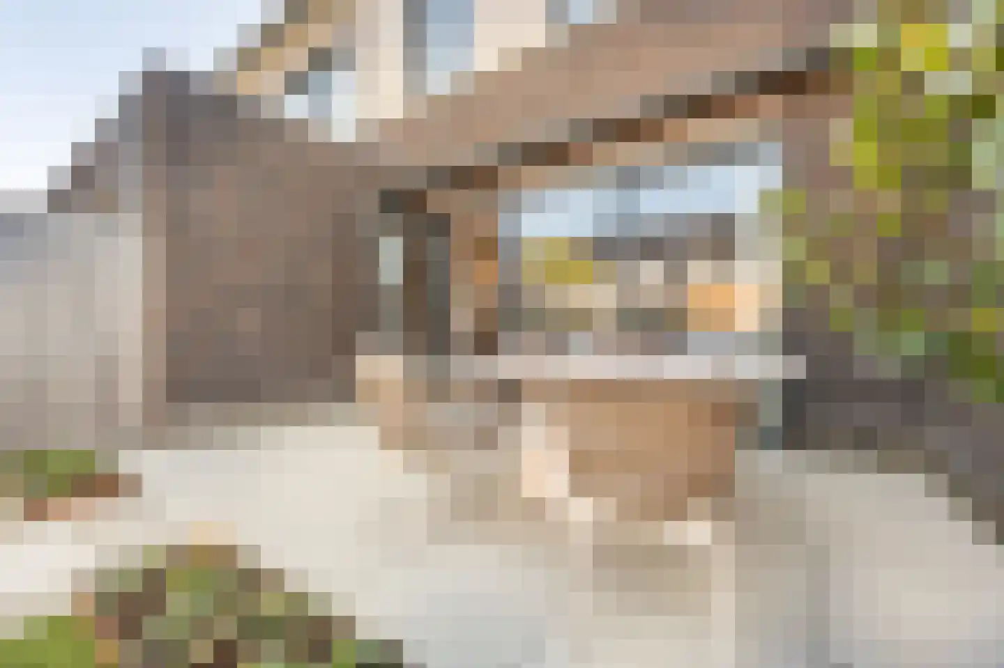 Matthijs Quispelhof 3 Oud-Beijerland thumbnail 52