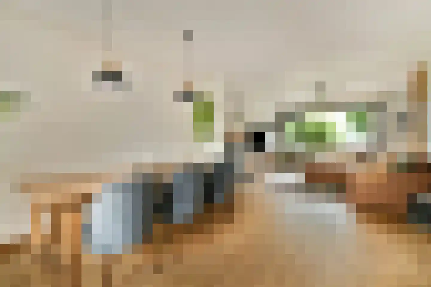 Matthijs Sterklaan 10 Zwanenburg thumbnail 11