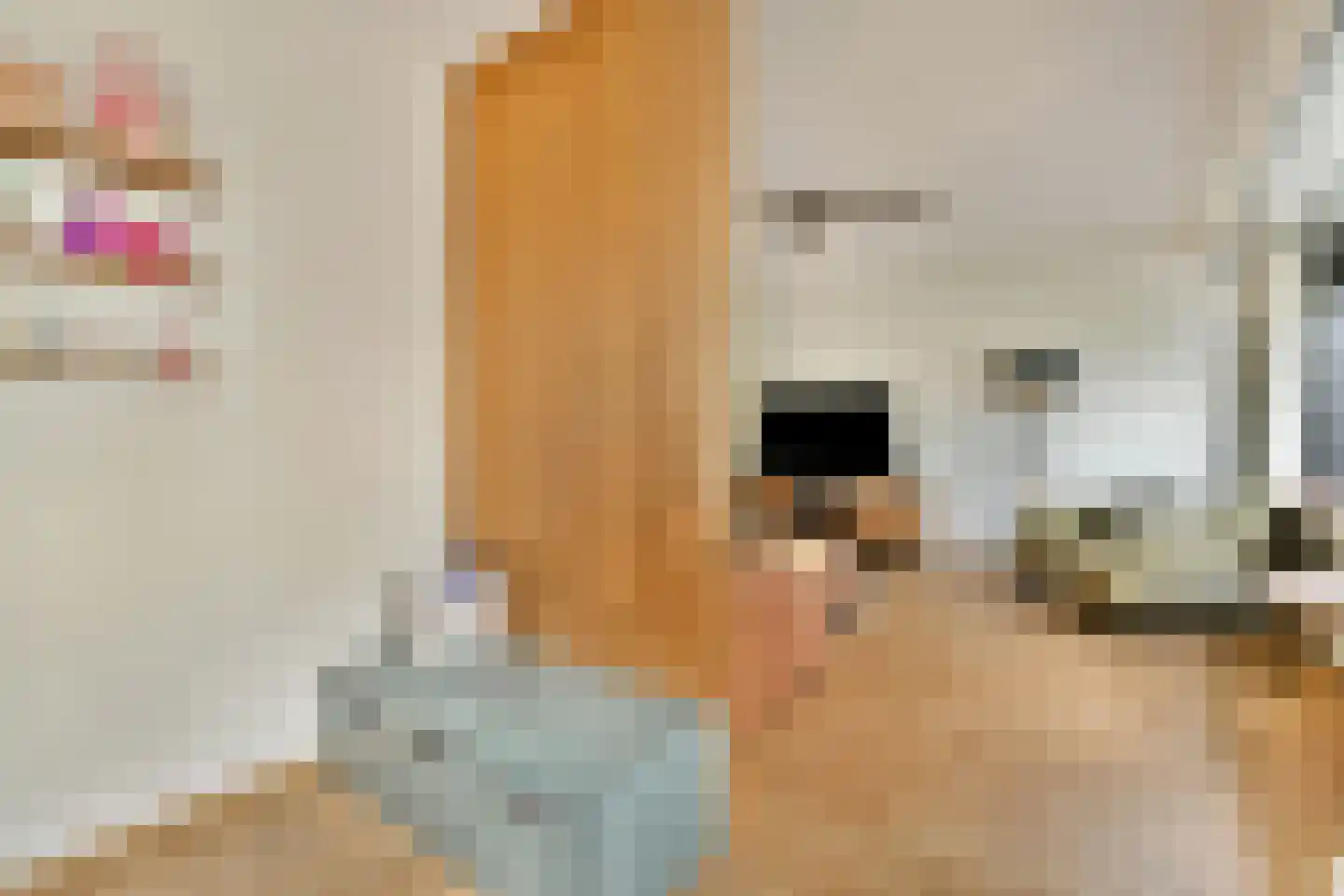 Matthijs Sterklaan 10 Zwanenburg thumbnail 13