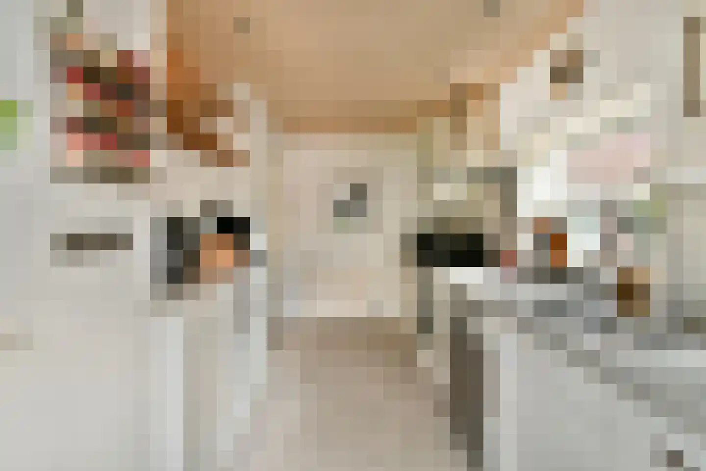 Matthijs Sterklaan 10 Zwanenburg thumbnail 15