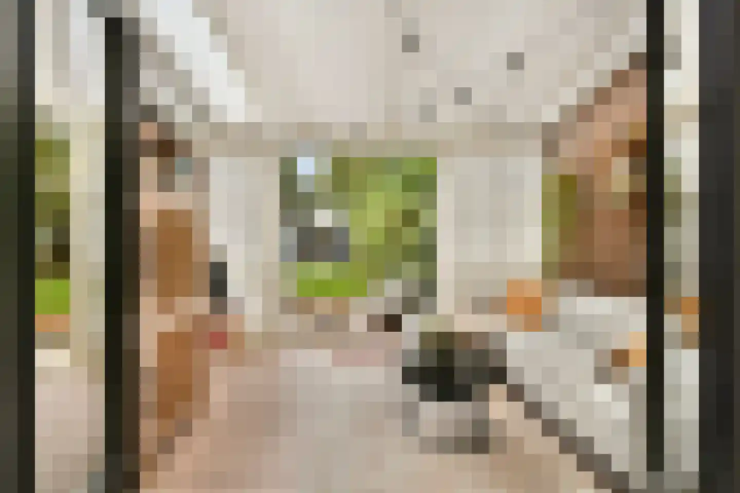 Matthijs Sterklaan 10 Zwanenburg thumbnail 16