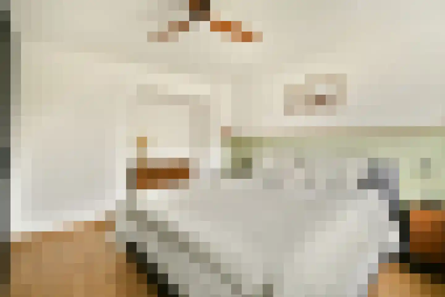 Matthijs Sterklaan 10 Zwanenburg thumbnail 25
