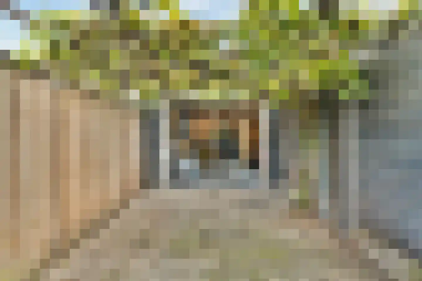 Matthijs Sterklaan 10 Zwanenburg thumbnail 37