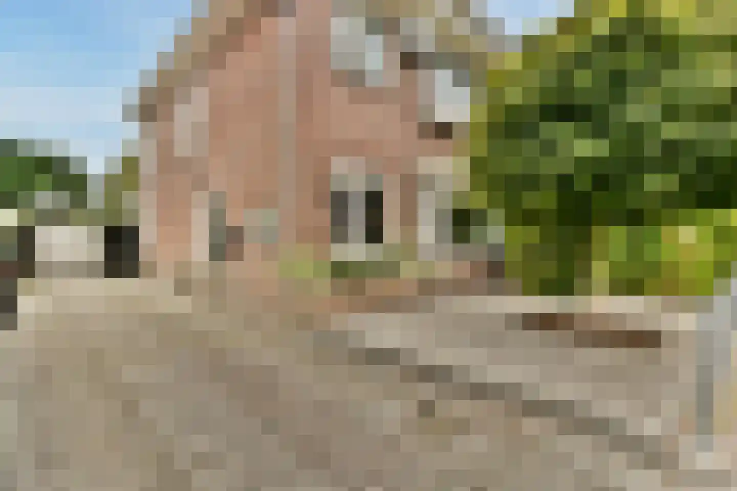 Matthijs Sterklaan 10 Zwanenburg thumbnail 6