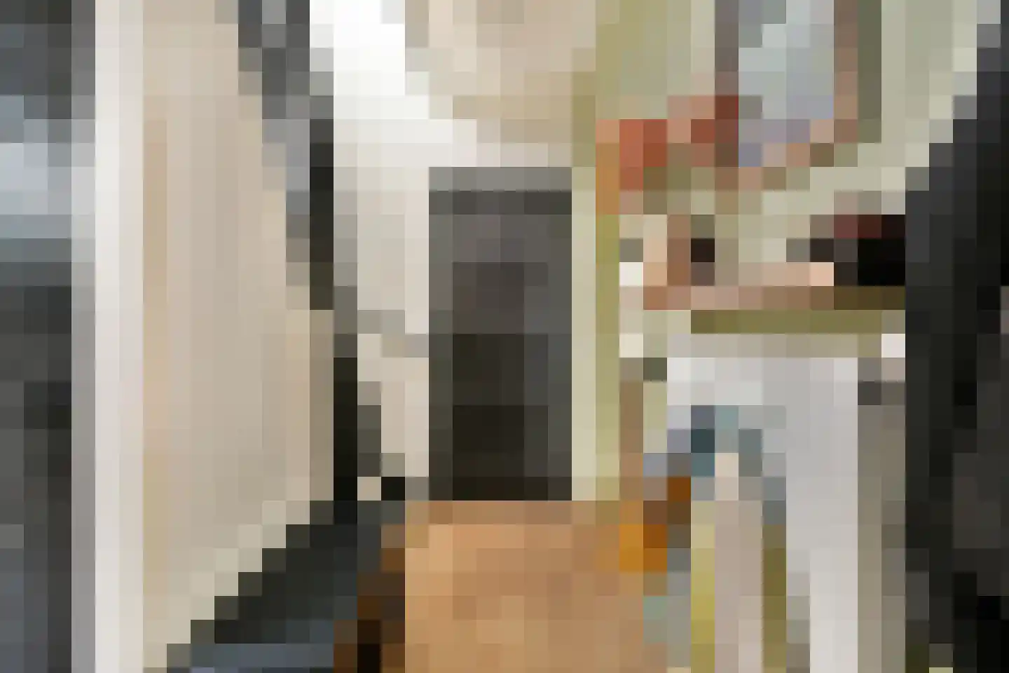Matthijs Sterklaan 10 Zwanenburg thumbnail 7
