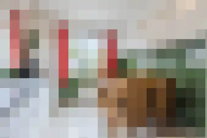 Matthijs van Dulkenstraat 11 Groenlo thumbnail 13