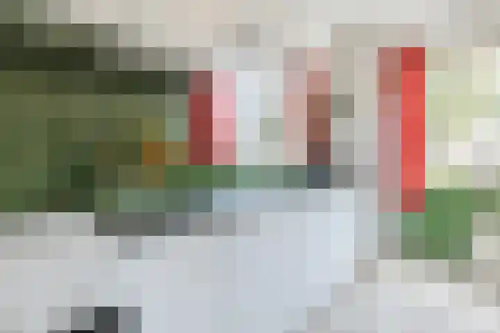 Matthijs van Dulkenstraat 11 Groenlo thumbnail 14