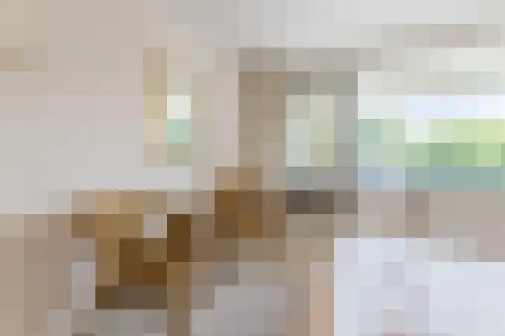 Matthijs van Dulkenstraat 11 Groenlo thumbnail 21