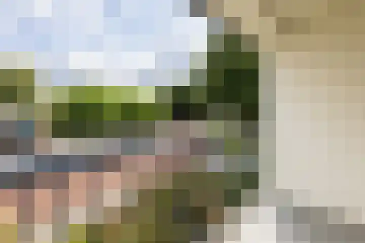 Matthijs van Dulkenstraat 11 Groenlo thumbnail 29