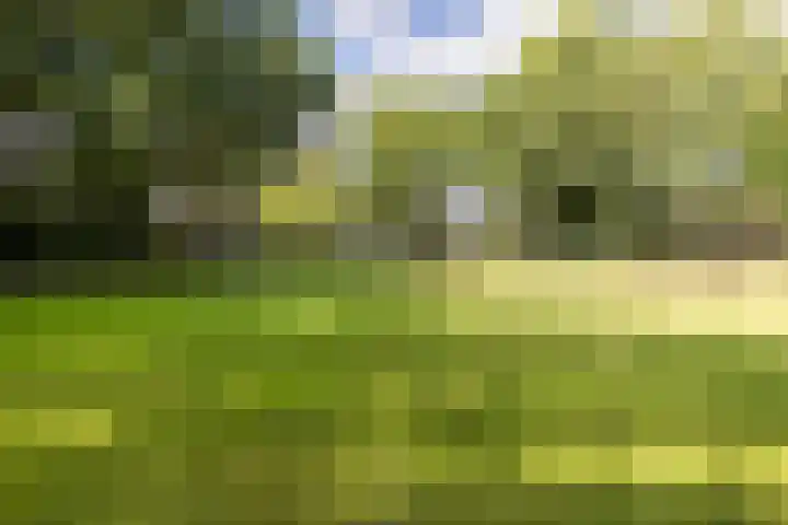Matthijs van Dulkenstraat 11 Groenlo thumbnail 36