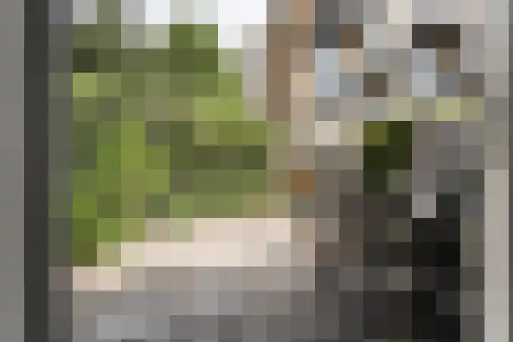Matthijs Vermeulenlaan 28 Heemstede thumbnail 11