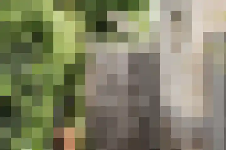 Matthijs Vermeulenlaan 28 Heemstede thumbnail 14