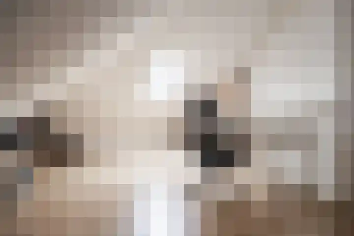 Matthijs Vermeulenlaan 28 Heemstede thumbnail 27