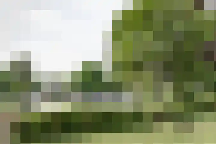 Matthijs Vermeulenlaan 28 Heemstede thumbnail 29