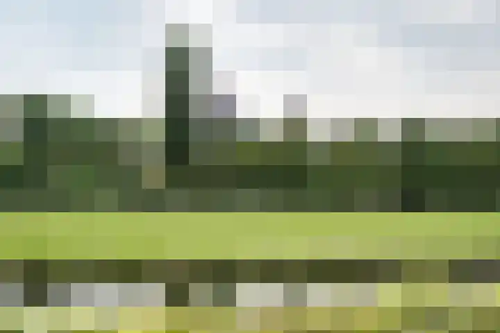 Matthijs Vermeulenlaan 28 Heemstede thumbnail 31