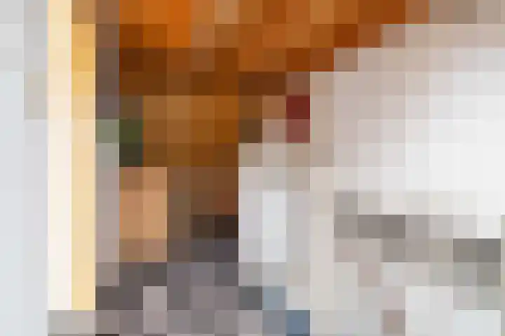 Matthijs Vermeulenstraat 50 Amersfoort thumbnail 39