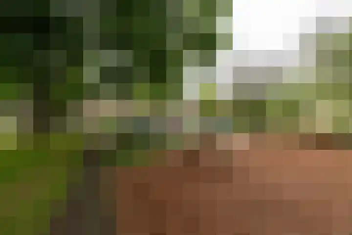 Matthijs Vermeulenstraat 50 Amersfoort thumbnail 53