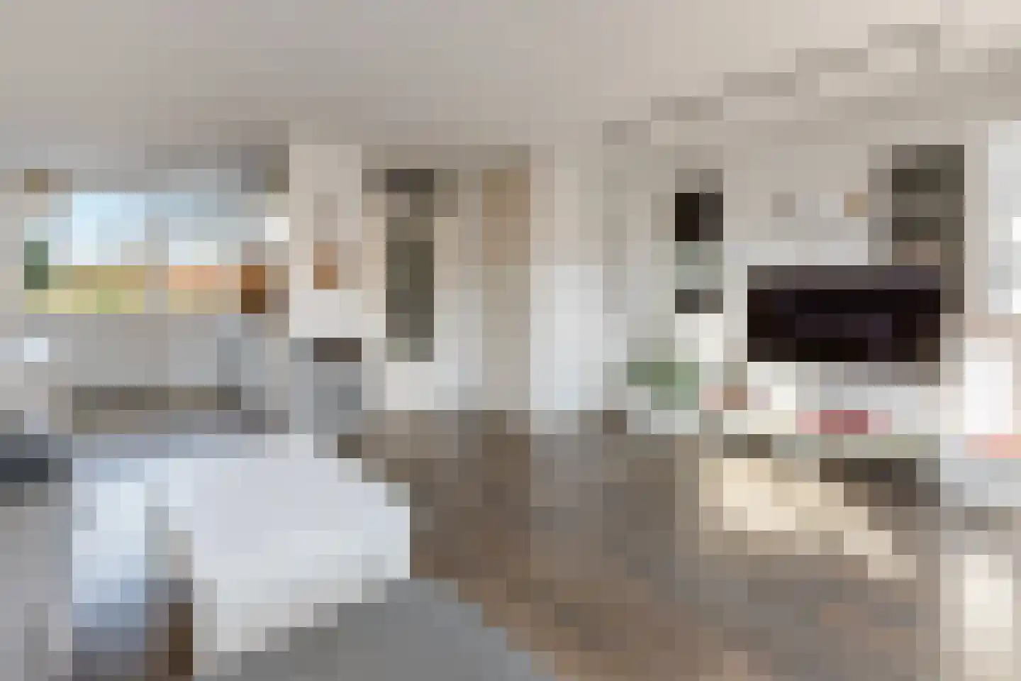 Matthijs Vermeulenstraat 54 Amersfoort thumbnail 8