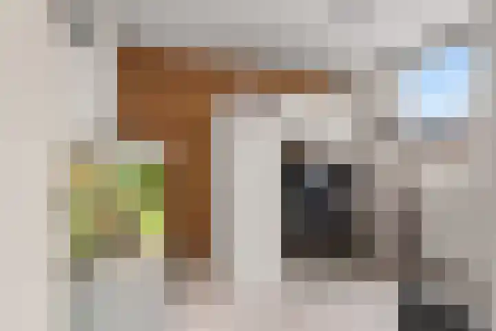 Matthijs Vermeulenstraat 58 Amersfoort thumbnail 27