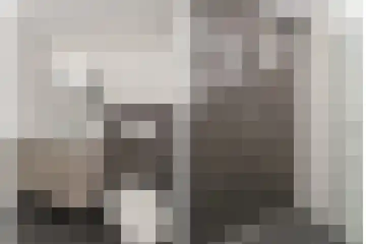 Matthijs Vermeulenstraat 58 Amersfoort thumbnail 32