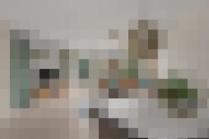 Matthijs Vermeulenstraat 58 Amersfoort thumbnail 5