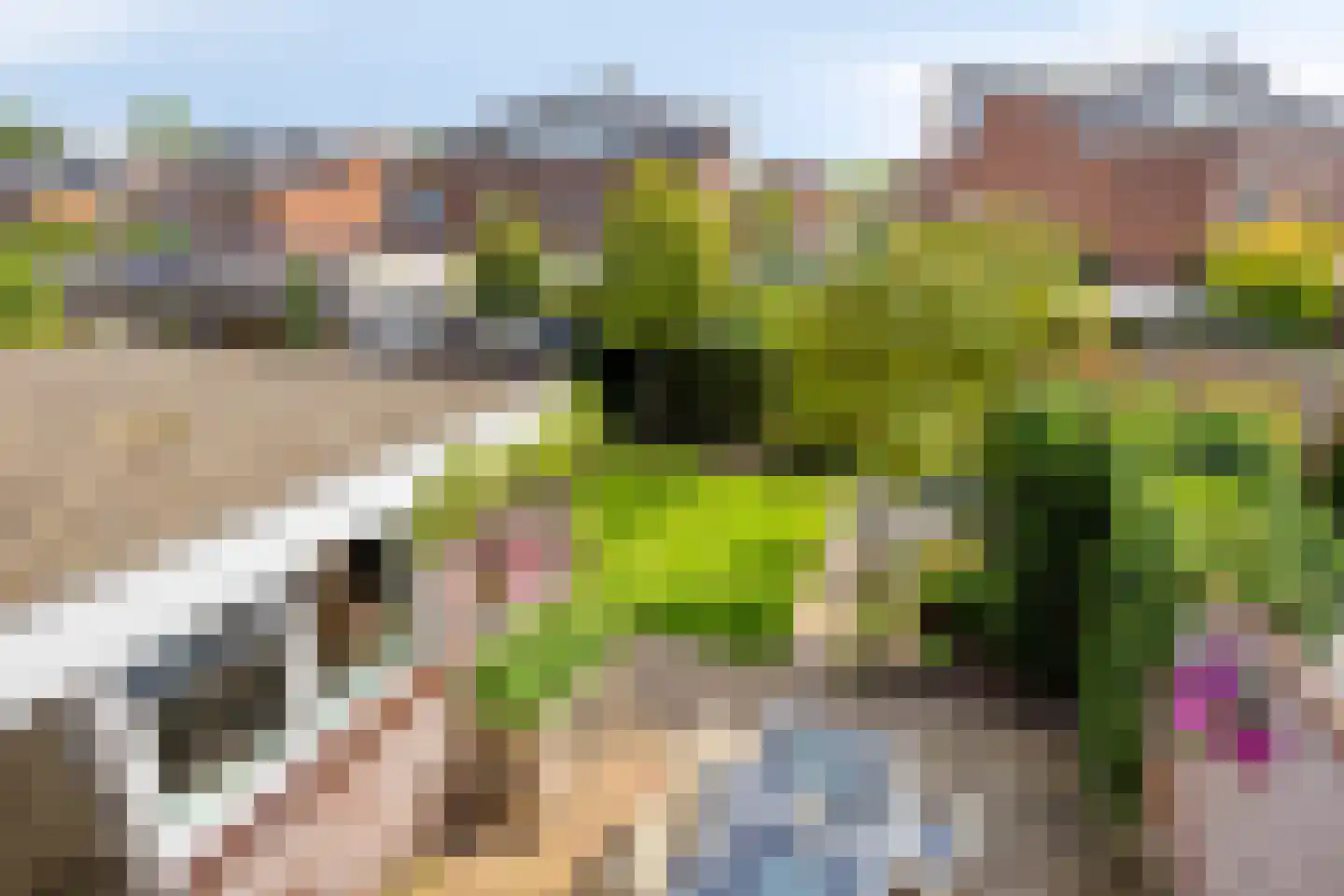 Matthijs Vermeulenstraat 8 Deventer thumbnail 24