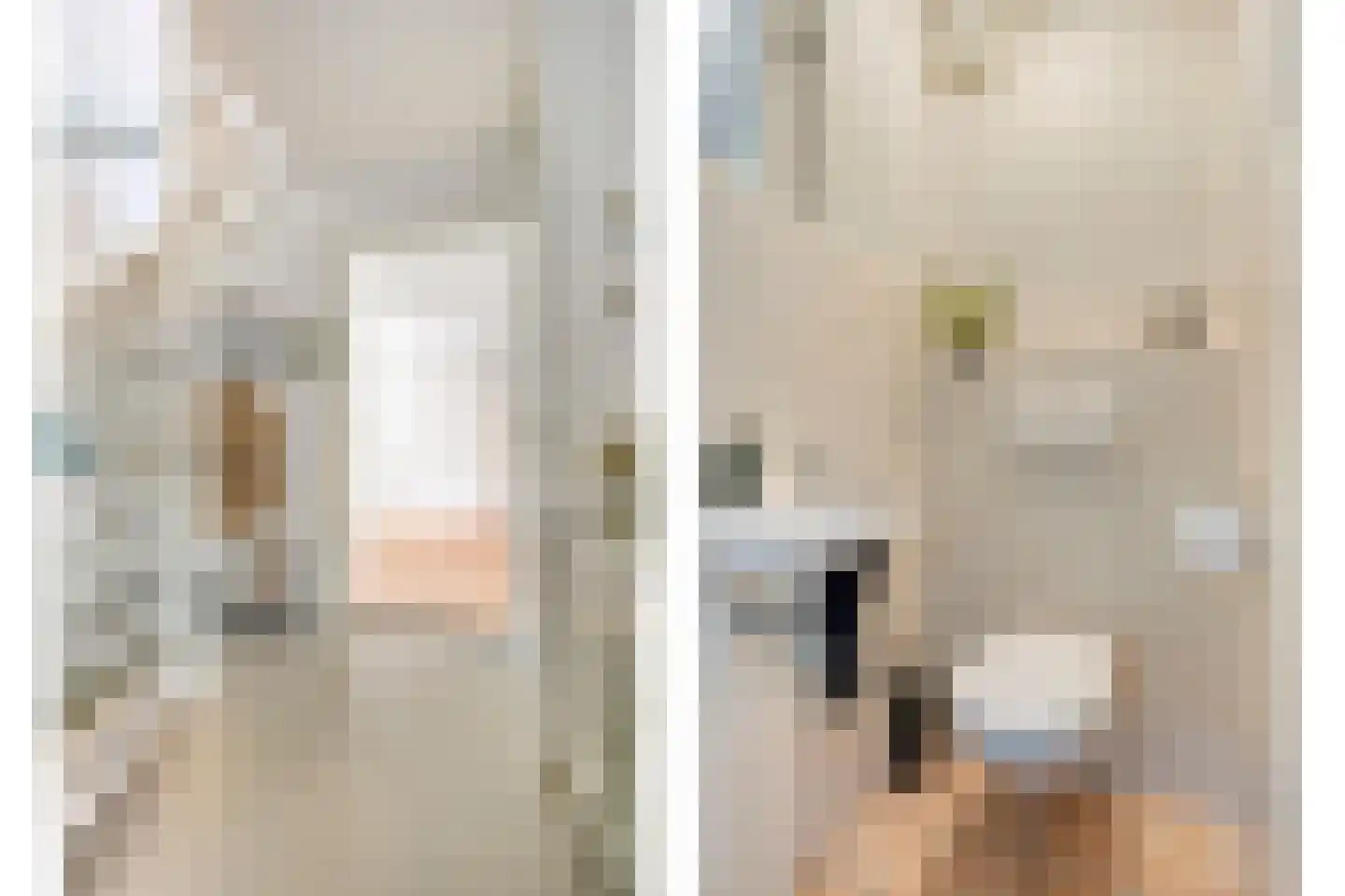 Matthijs Vermeulenstraat 8 Deventer thumbnail 4